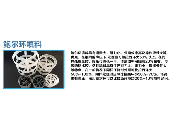 鮑爾環填料